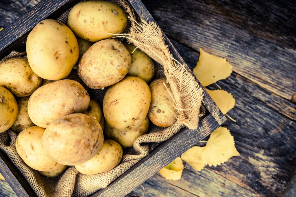 Nutrofertil – Fertilizantes e Substratos Orgânicos e Biológicos