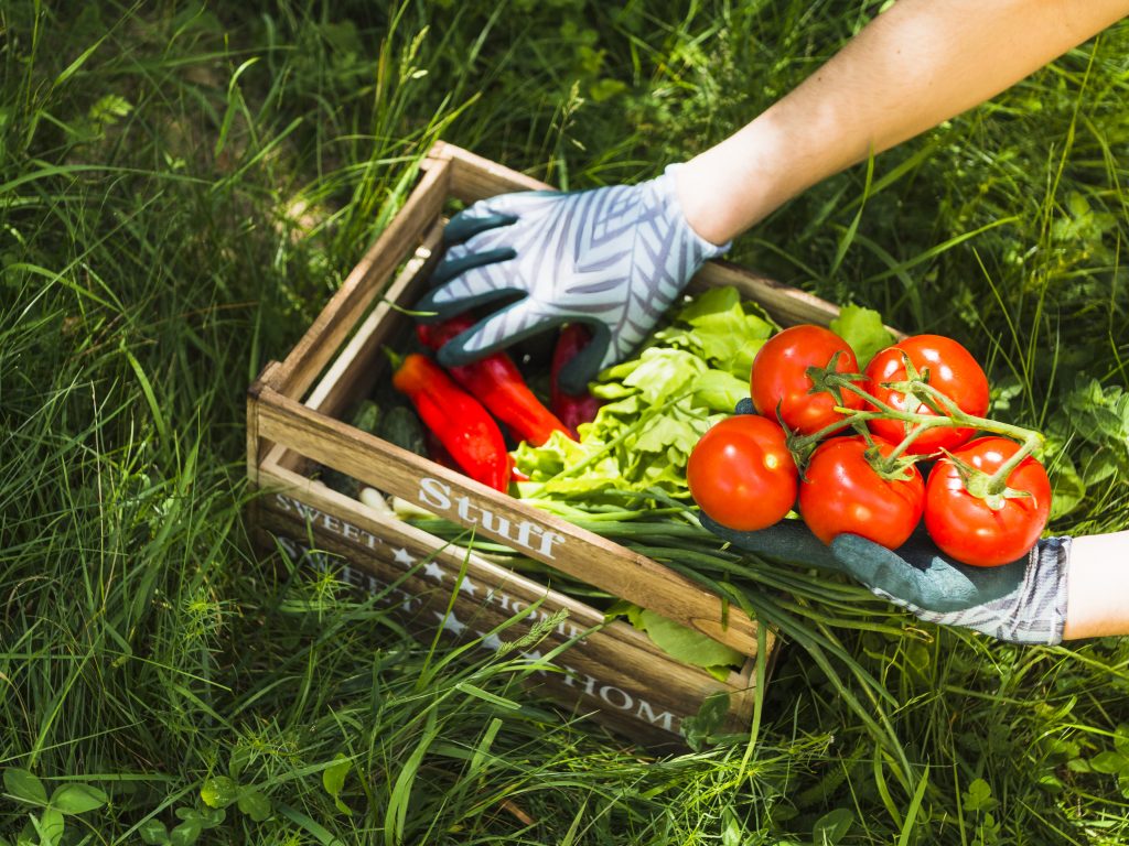 Nutrofertil – Fertilizantes e Substratos Orgânicos e Biológicos