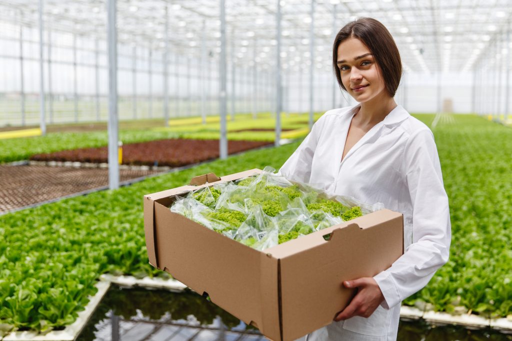 Nutrofertil – Fertilizantes e Substratos Orgânicos e Biológicos
