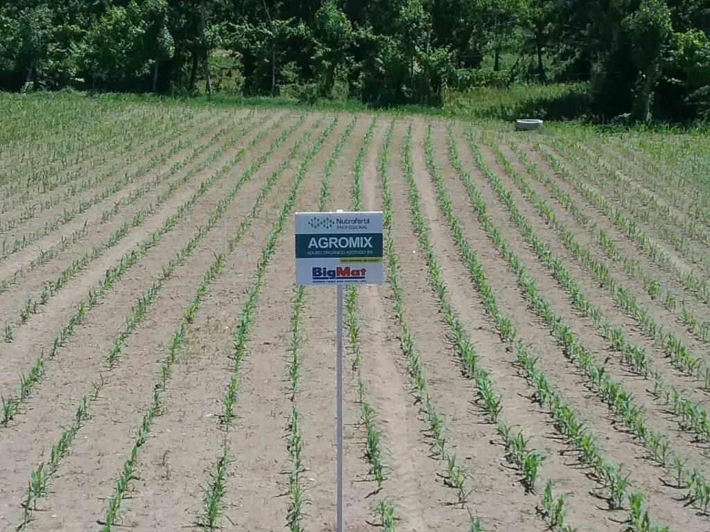 Nutrofertil – Fertilizantes e Substratos Orgânicos e Biológicos