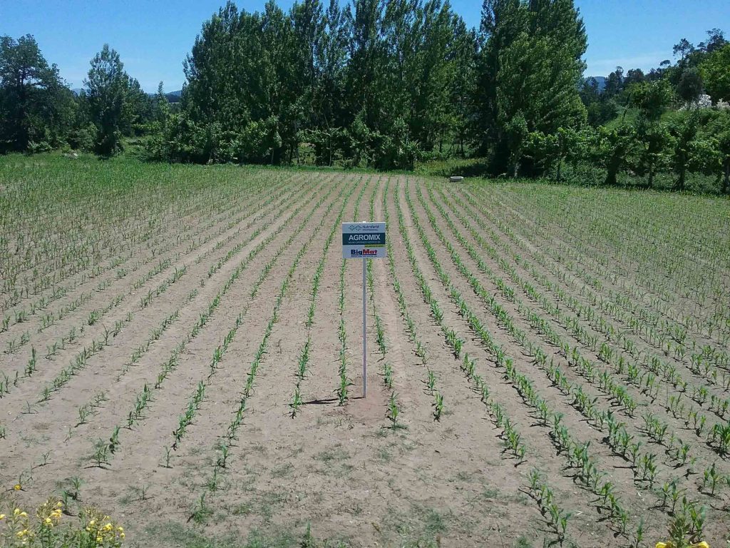 Nutrofertil – Fertilizantes e Substratos Orgânicos e Biológicos