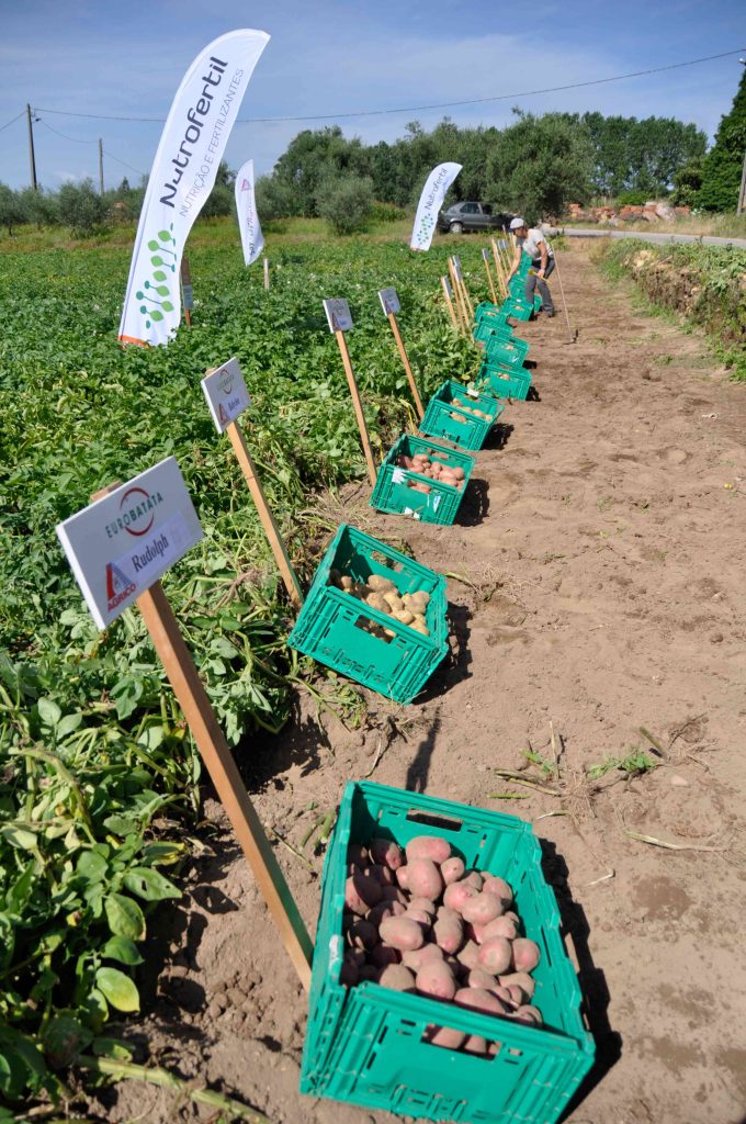 Nutrofertil – Fertilizantes e Substratos Orgânicos e Biológicos