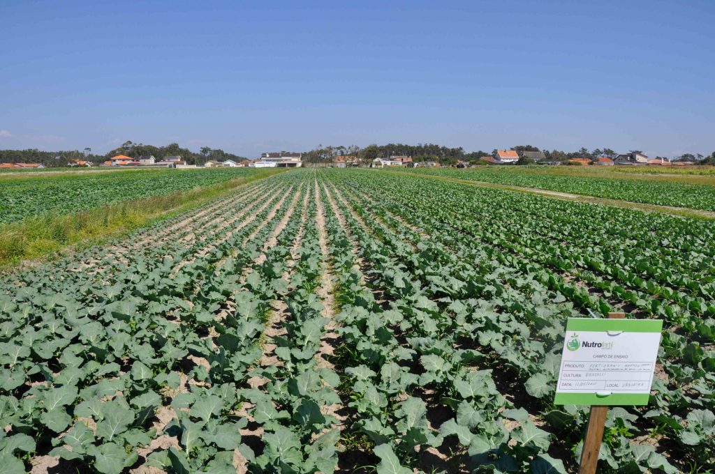 Nutrofertil – Fertilizantes e Substratos Orgânicos e Biológicos