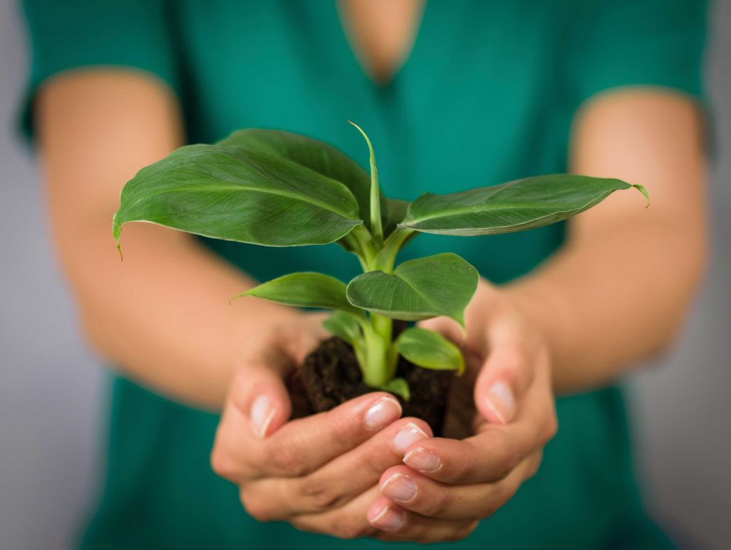 Nutrofertil – Fertilizantes e Substratos Orgânicos e Biológicos