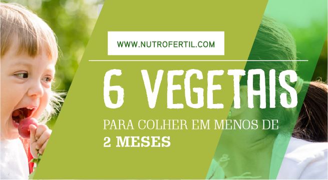 Nutrofertil – Fertilizantes e Substratos Orgânicos e Biológicos