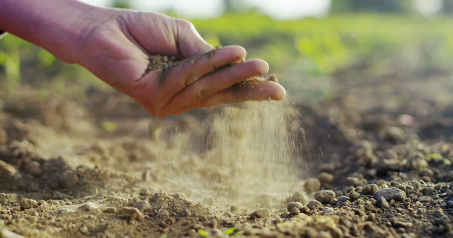 Nutrofertil – Fertilizantes e Substratos Orgânicos e Biológicos