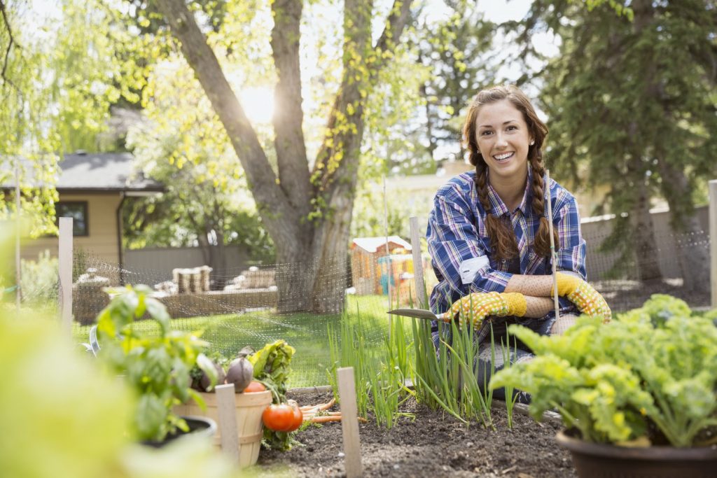 Nutrofertil – Fertilizantes e Substratos Orgânicos e Biológicos