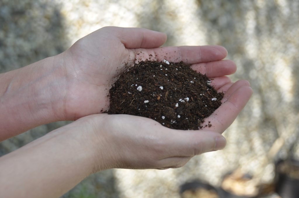 Nutrofertil – Fertilizantes e Substratos Orgânicos e Biológicos