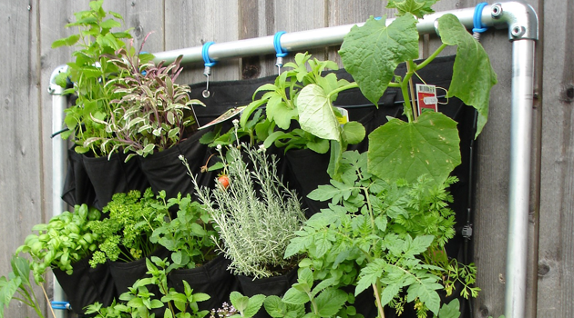 Nutrofertil – Fertilizantes e Substratos Orgânicos e Biológicos