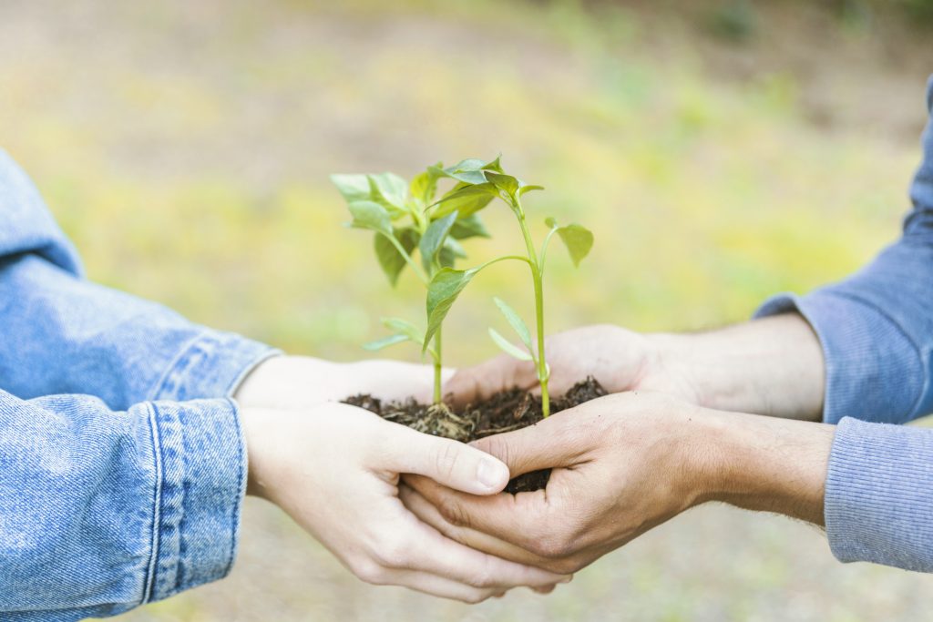 Nutrofertil – Fertilizantes e Substratos Orgânicos e Biológicos