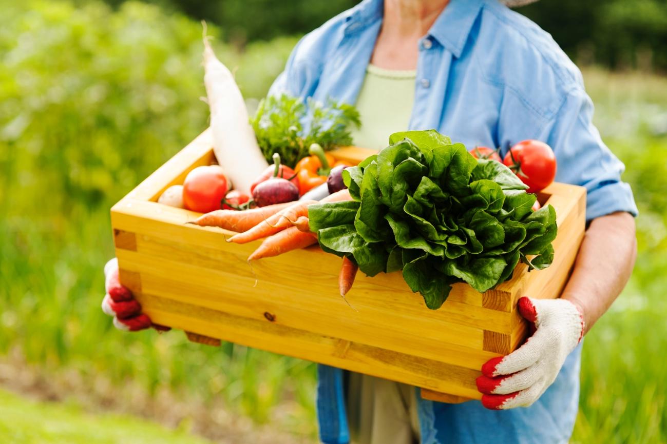 Uma imagem com pessoa, Alimentos naturais, ar livre, vestuário

Os conteúdos gerados por IA podem estar incorretos.